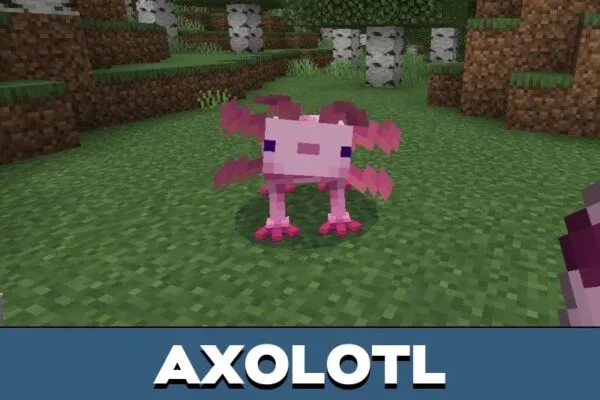 Axolotl from Mutant Creatures Mod for Minecraft PE