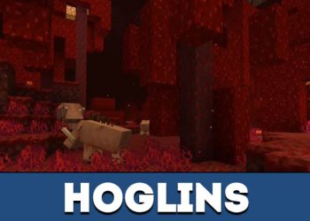 hog 3 pc download hog 3 pc download