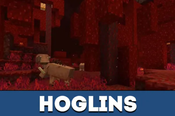 Hoglins in Minecraft PE 1.16