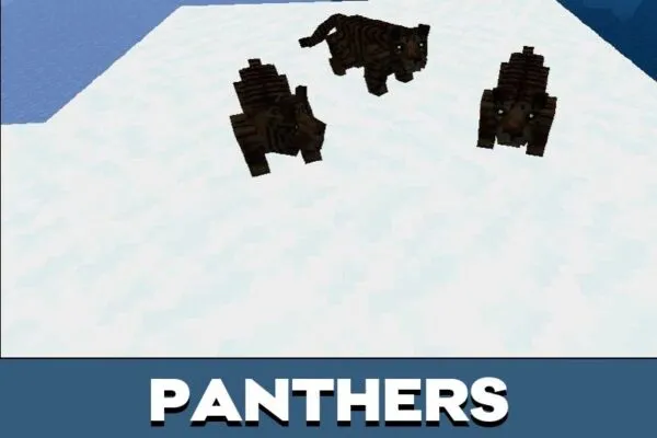 Panthers from Mo Creatures Mod for Minecraft PE