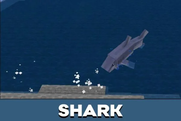 Shark from Mo Creatures Mod for Minecraft PE