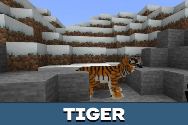 Tiger from Mo Creatures Mod for Minecraft PE