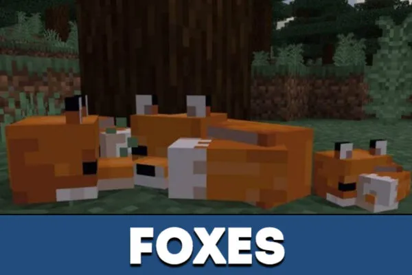 Foxes in MCPE 1.13