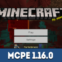 Download Minecraft 1.16.101 Nether Update apk free: Full Version