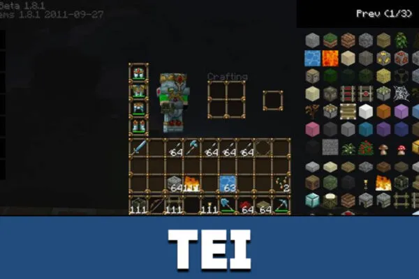 TEI in Minecraft PE