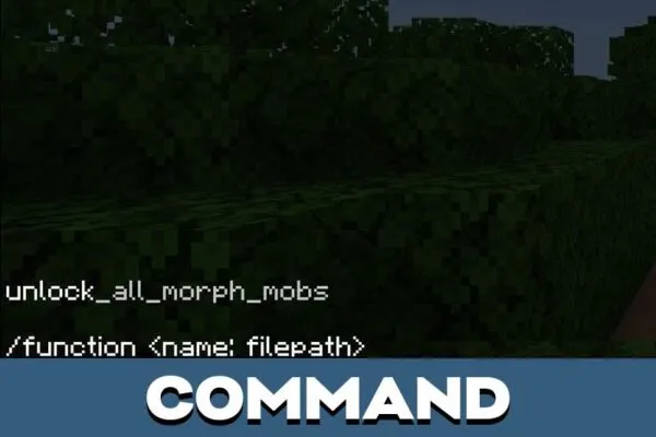 Command from Morph Mod for Minecraft PE