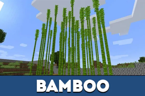 Bamboo in Minecraft PE 1.8