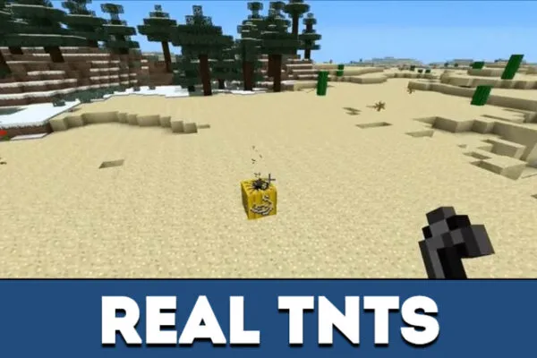 Reals TNTs from C4 Mod for Minecraft PE