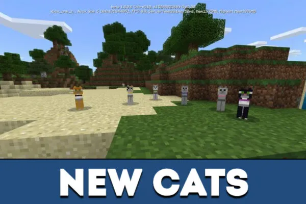 New cats in Minecraft PE 1.8