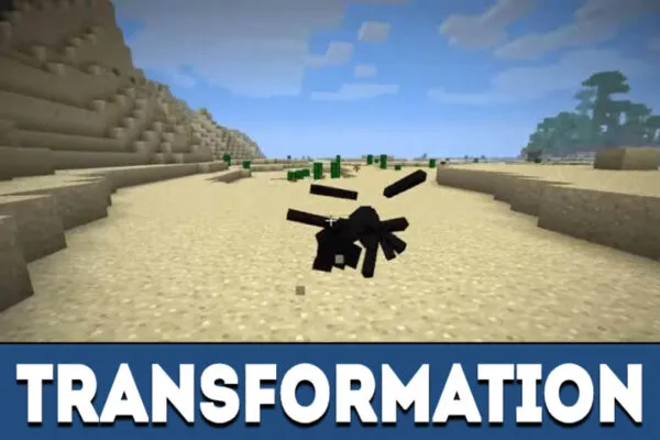 Transformation in MCPE