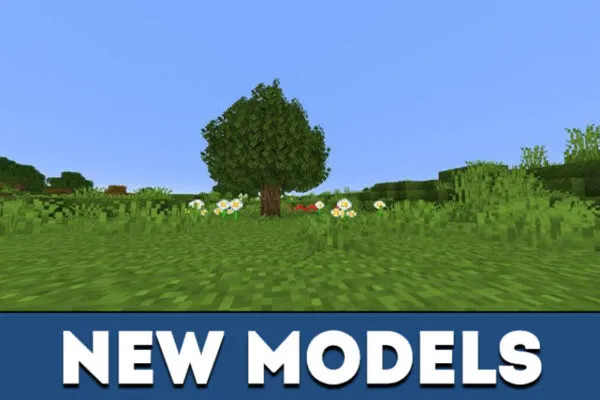 New models in MCPE