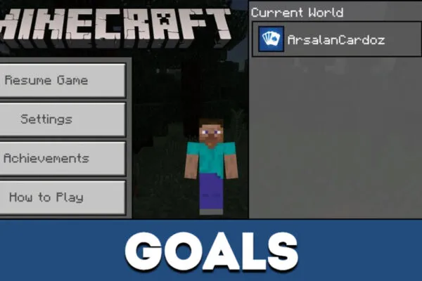 Goals in MCPE