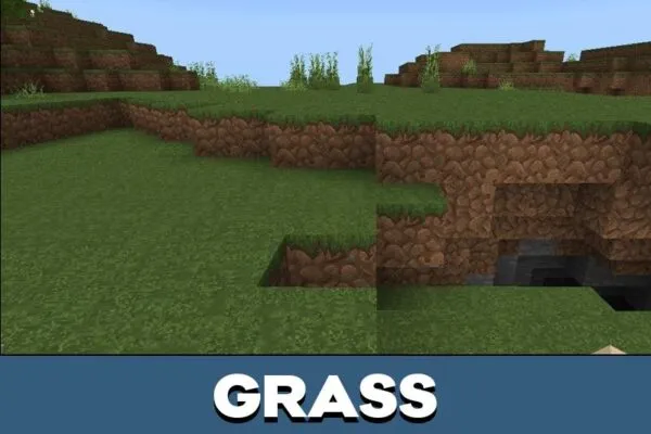 Grass from Natural Texture Pack for Minecraft PE