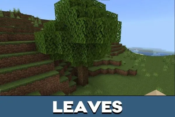 Leaves from Natural Texture Pack for Minecraft PE