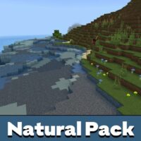 Natural Texture Pack for Minecraft PE