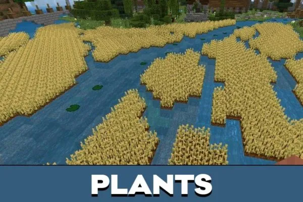 Plants from Village Maps for Minecraft PE