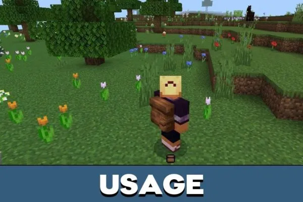 Usage for Backpack mod for Minecraft PE