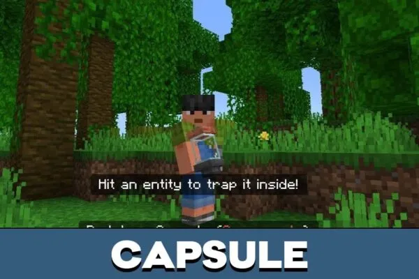 Capsule from Redstone Mod for Minecraft PE