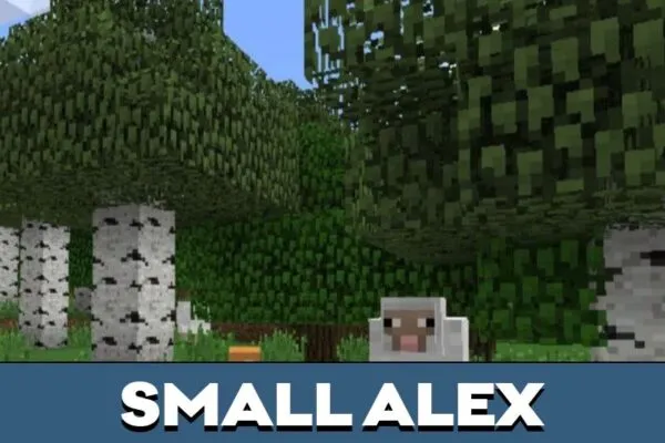 Small Alex from Baby Mod for Minecraft PE