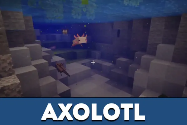 Axolotl in Minecraft PE 1.18