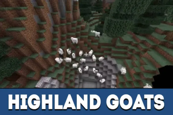 Highland goats in MCPE 1.16