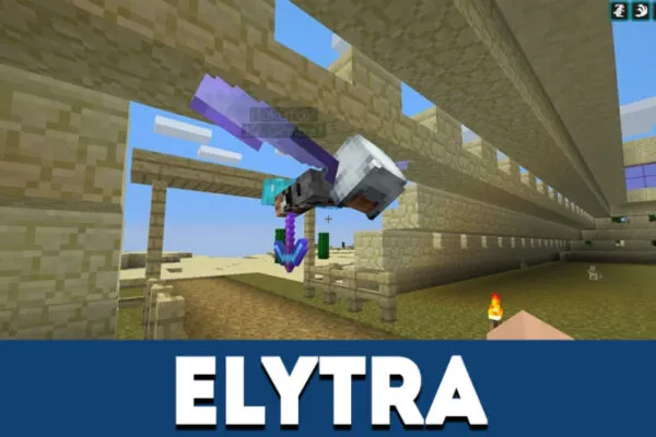 Elytra in MCPE 1.0