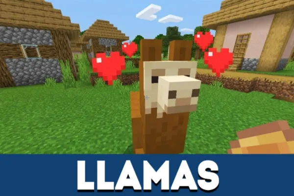 Llamas in Minecraft PE 1.1