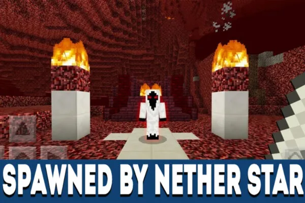 Entity 303 spawned by nether star in Entity 303 Mod for MCPE