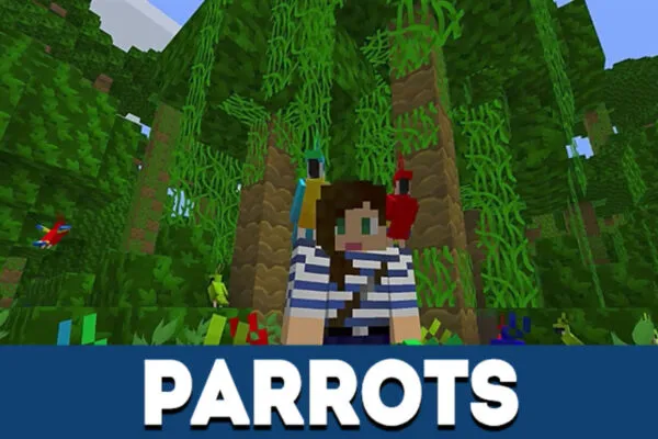 Parrots in MCPE 1.2