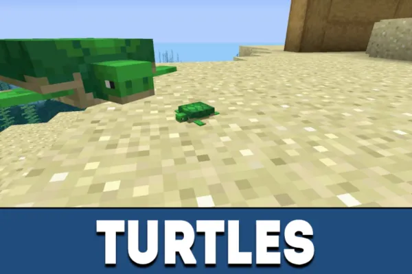 Turtles in MCPE 1.5