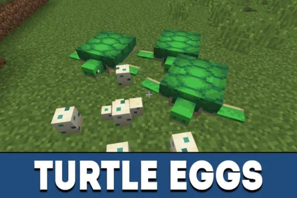 Turtle Eggs in MCPE 1.5