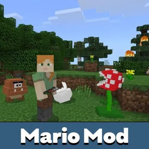 Mario Mod for Minecraft PE