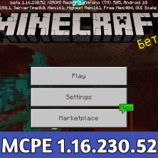 Download Minecraft PE 1.16.40 apk free: Nether Update