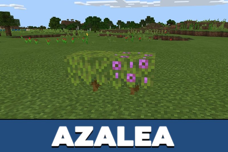 Download Minecraft PE 1.16.221 apk free: Caves & Cliffs