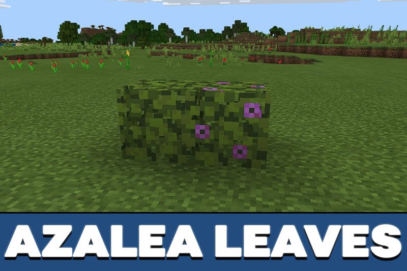 Download Minecraft PE 1.16.220 apk free: Nether Update