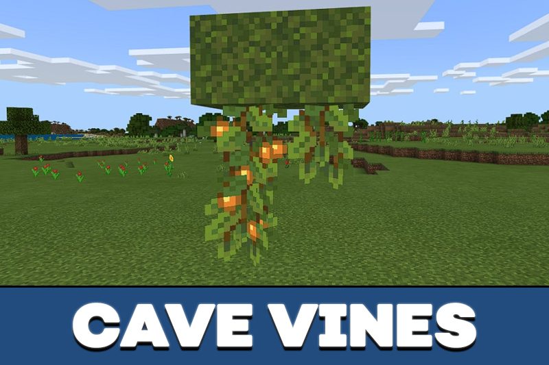 Download Minecraft PE 1.16.221 apk free: Caves & Cliffs