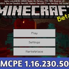 New Update for Minecraft 1.16.5