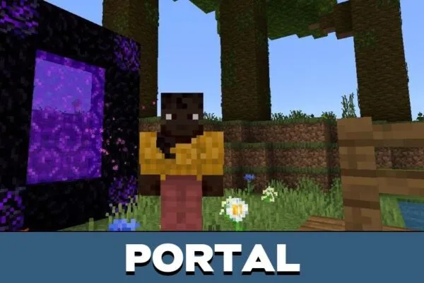 Portal from Survival on Single Block Map for Miencraft PE