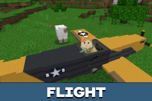 Flight from Airplane Mod for Minecraft PE