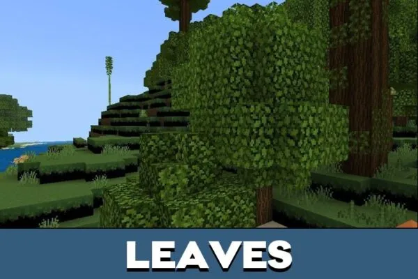 Leaves from PVP Texture Pack in Minecraft PE