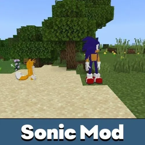 Sonic Mod for Minecraft PE