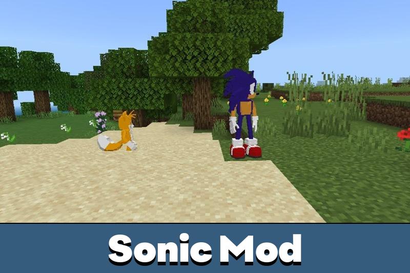 Sonic Addon (1.20) - MCPE/Bedrock Mod 