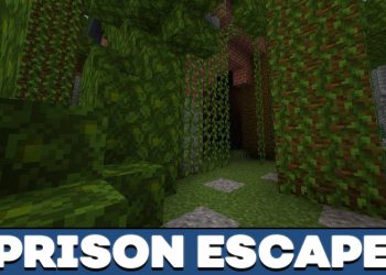 Download Prison Escape Minecraft Maps android on PC