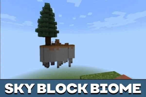 Biome from Sky Block Map for Minecraft PE