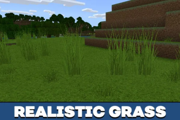 Realistic grass in Parallax Texture Pack in Minecraft PE