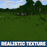 Top 5 Texturas REALISTAS para MINECRAFT PE 1.18! Texturas realistas para  Minecraft Bedrock 1.18 