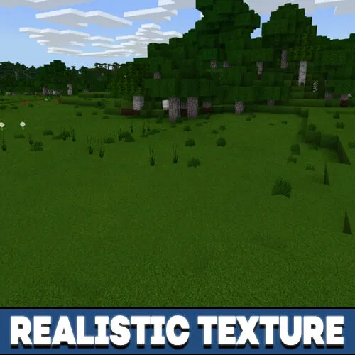 Realistic Texture Pack for Minecraft PE