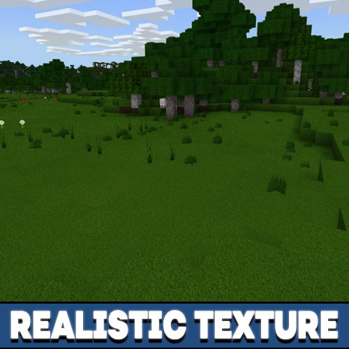 4 Packs de Texturas Realistas para Minecraft PE