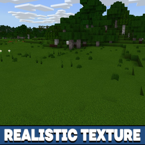 Realistic Textures for MCPE – Apps no Google Play