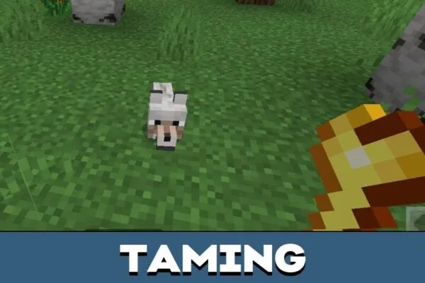 Taming from Friend Mod for Minecraft PE